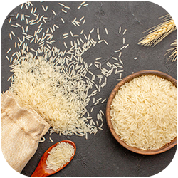 GoSahaja – Natural Farms Beyond Organic