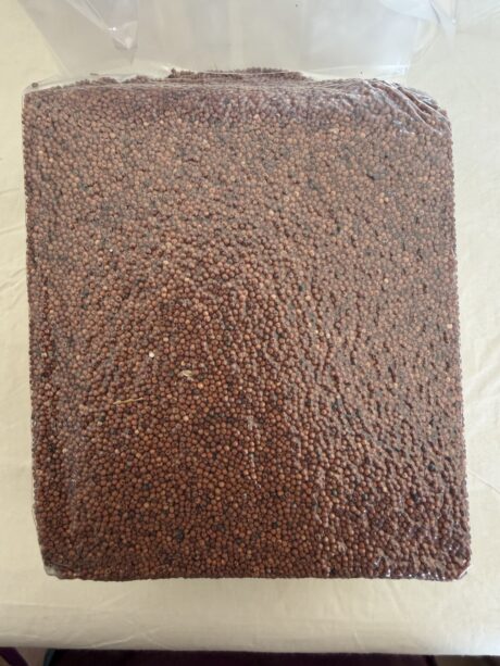 Finger Millet ( Ragulu)