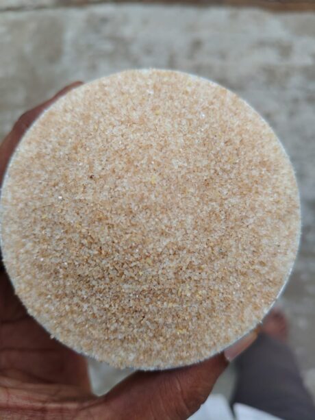 Kapli wheat Umpa Ravva